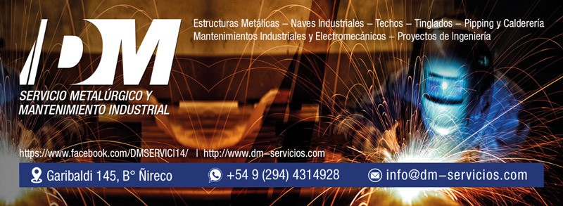 Dm servicios