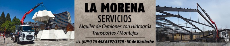 Gruas la morena, servicios para la construccion