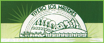 VIVERO LOS MAITENES