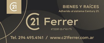 C21  FERRER INMOBILIARIA